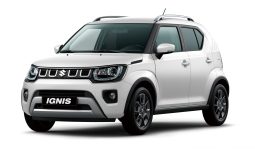 Nuova Ignis 2020 , il Suv Ultracompatto 2wd e 4wd Ibrida pieno