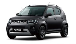 Nuova Ignis 2020 , il Suv Ultracompatto 2wd e 4wd Ibrida pieno